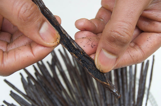 20 Gousses de Vanille Bourbon de Madagascar – Gourmet 18 - 21 cm - La Vanille de Rose