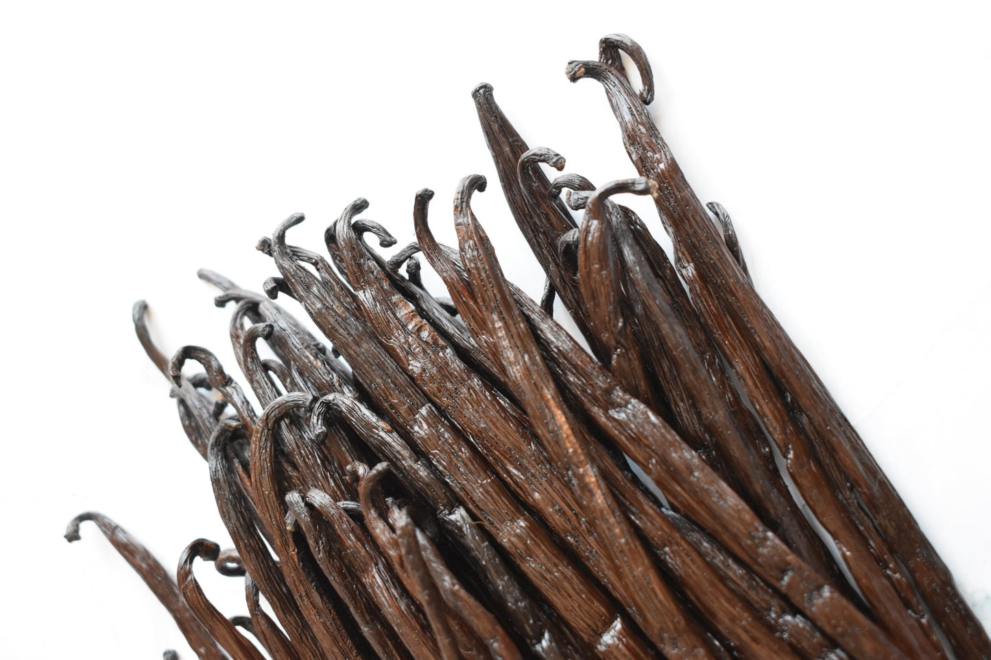 Gousses de vanille Bourbon Gourmet Grade A (+18cm) - La Vanille de Rose