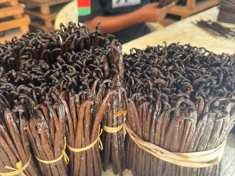 Manojos de vainas de vainilla bourbon listas para el envío