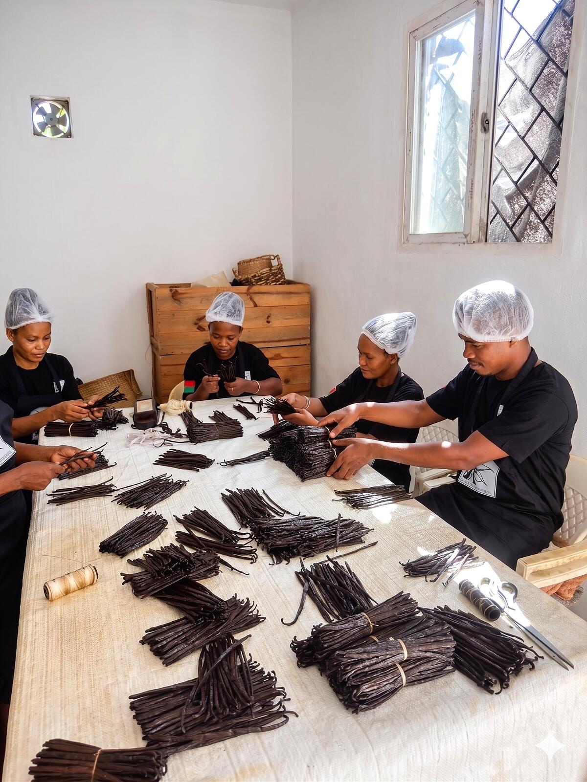 Equipo completo de selección de vainas de vainilla bourbon en el taller de Sambava