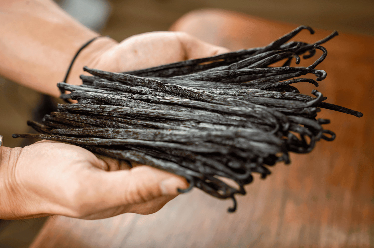 Mano sosteniendo vainas de vainilla Bourbon de Madagascar, largas, carnosas y aromáticas, cultivadas por productores especializados.