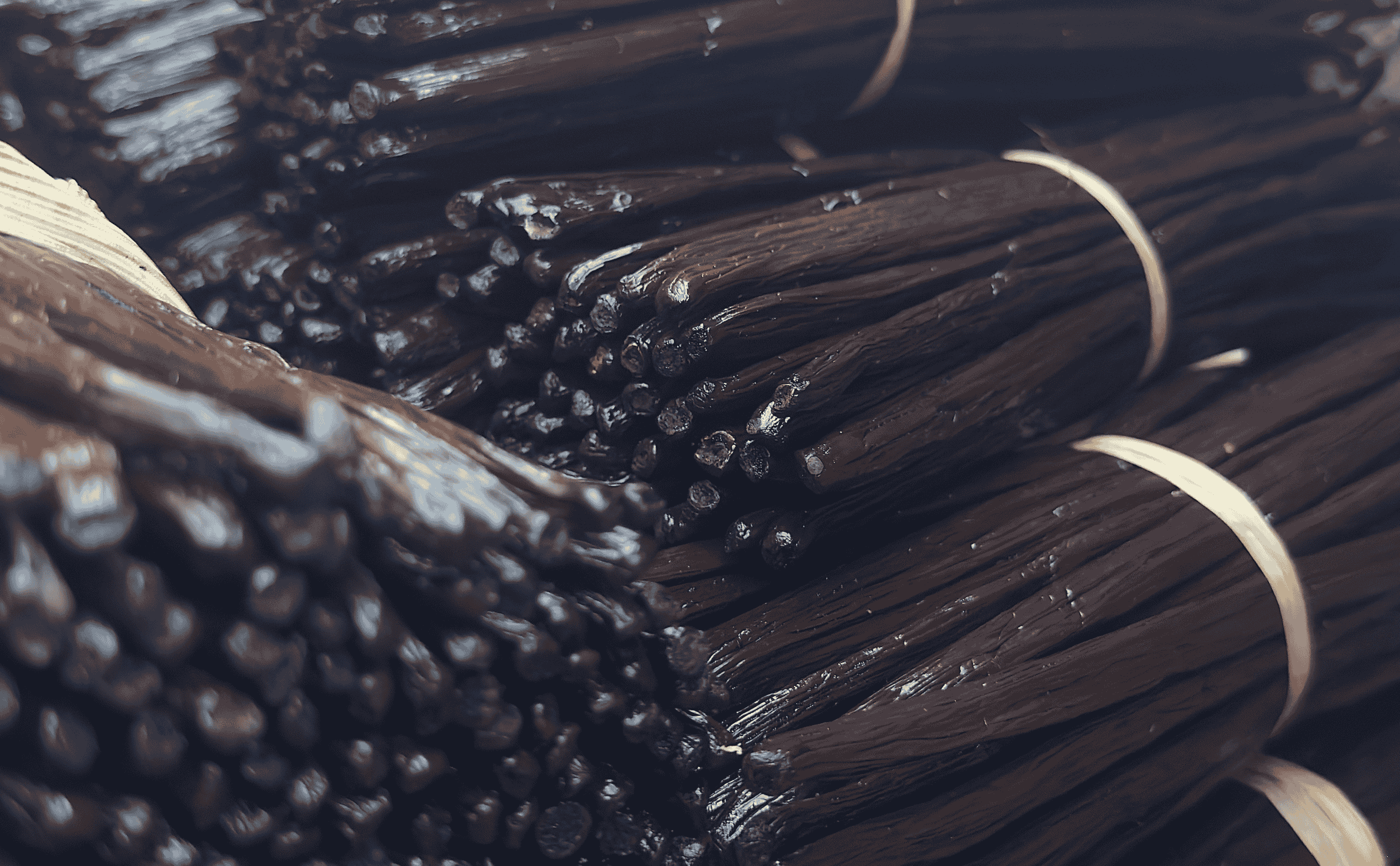 Gousses de vanille Gourmet de Madagascar | Vainas de vainilla Gourmet de Madagascar | Gourmet vanilla beans from Madagascar